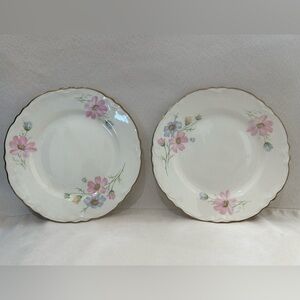 SOLD LOCALLY Vintage Homer Laughlin Rose China, set of 2-